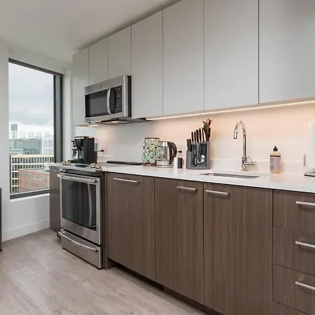 Cozy 2br Near Harvard With Gym Golf & Work Space Apartment Boston