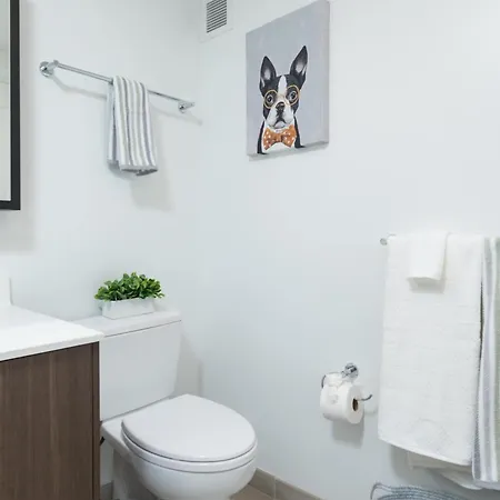 King 1br Near Harvard Gym Washer Dryer Parking Apartment *