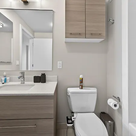 2 Bedroom Lux In Downtown Tower Boston