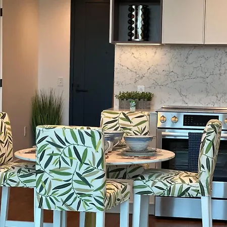 Back Bay Penthouse With Gym Parking In Unit Washer Dryer * Boston
