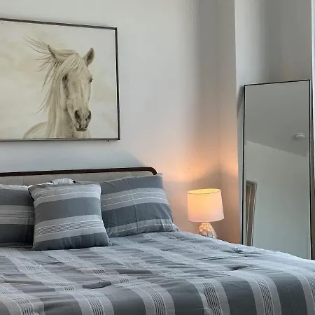 Back Bay Penthouse With Gym Parking In Unit Washer Dryer