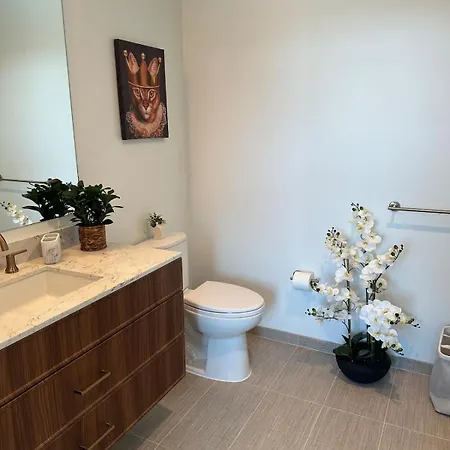 Apartment Back Bay Penthouse With Gym Parking In Unit Washer Dryer Boston