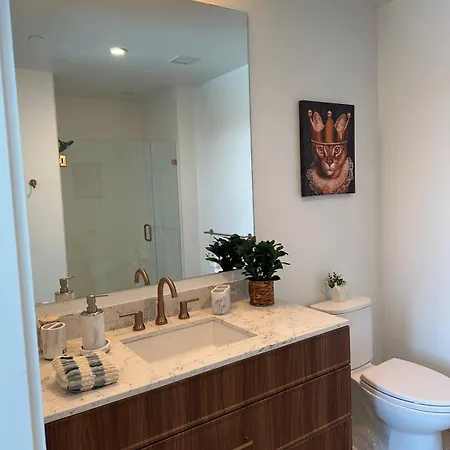 Back Bay Penthouse With Gym Parking In Unit Washer Dryer Apartment