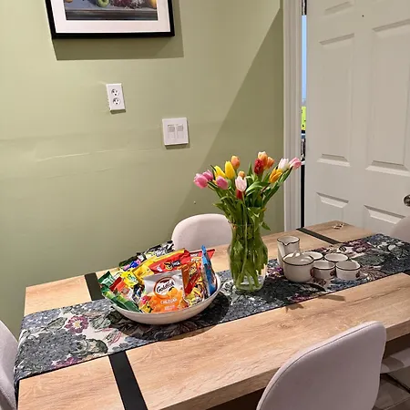 Paradise Cove Oasis 4 Bedroom In Boston