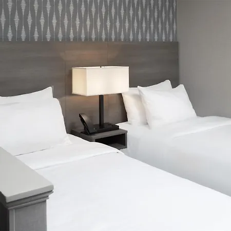 The Midtown Mod Collection By Sonesta Motel 3*