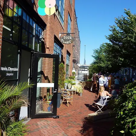 Hotel Staypineapple, A Delightful Hotel, South End Boston