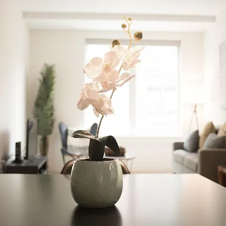 One-bedroom On Beacon Street Apt 205 Apartment *