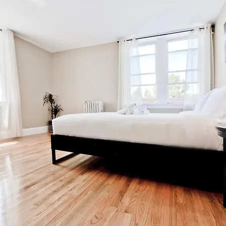 Three-bedroom On Egmont Street Apt 6 Apartment