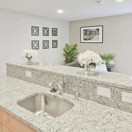 Apartment Three-bedroom On Egmont Street Apt 6 Boston