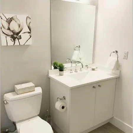Fully Furnished 2 Bedroom In Longwood Medical Area By Seamlesstransition Apartment