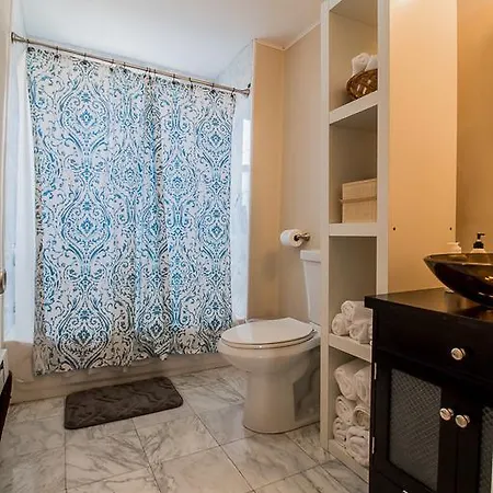 2 Bedroom In Downtown Close To South Station And Chinatown *