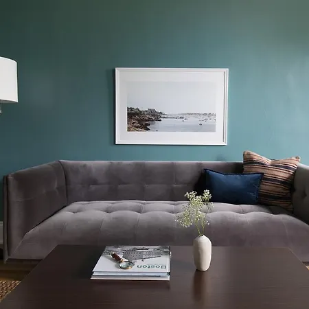 Apartment One-bedroom On Chestnut Hill Avenue Apt 15 Boston