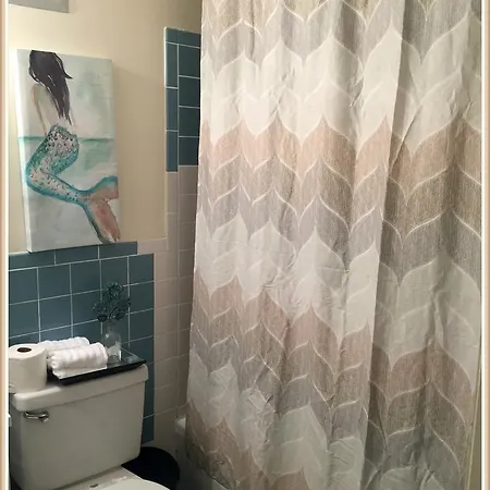 Cozy Garden Level Apartment, Walking Distance To Famous Scenes, Charles River, Mit, Fenway