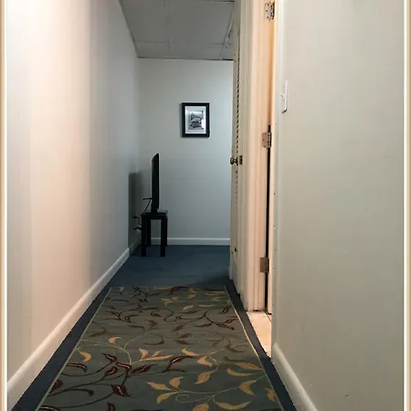 Homestay Cozy Garden Level Apartment, Walking Distance To Famous Scenes, Charles River, Mit, Fenway