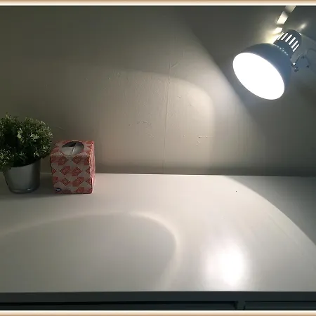 Cozy Garden Level Apartment, Walking Distance To Famous Scenes, Charles River, Mit, Fenway *