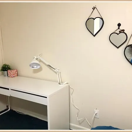 Cozy Garden Level Apartment, Walking Distance To Famous Scenes, Charles River, Mit, Fenway
