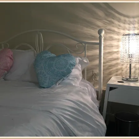 Homestay Cozy Garden Level Apartment, Walking Distance To Famous Scenes, Charles River, Mit, Fenway