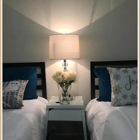 Homestay Cozy Garden Level Apartment, Walking Distance To Famous Scenes, Charles River, Mit, Fenway Boston
