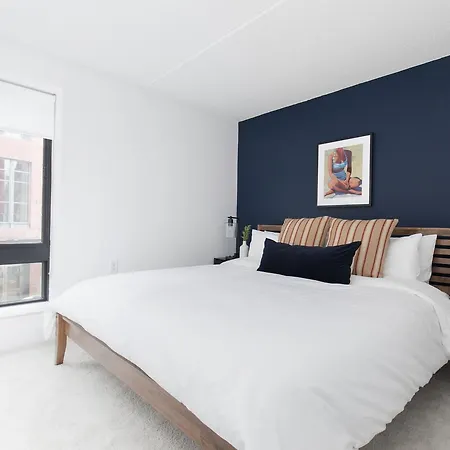 Two-bedroom On Exeter Street Apt 203 * Boston