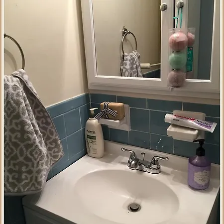 Cozy Garden Level Apartment, Walking Distance To Famous Scenes, Charles River, Mit, Fenway Boston