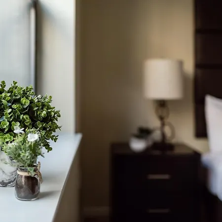 Apartment Alfred On Garrison Street Boston