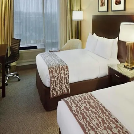 Doubletree By Hilton Bayside