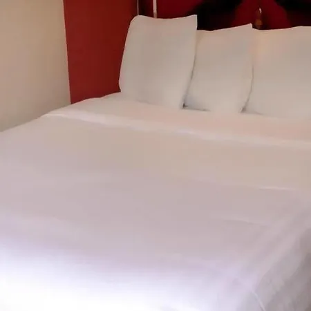Hotel Ivy Common 2*