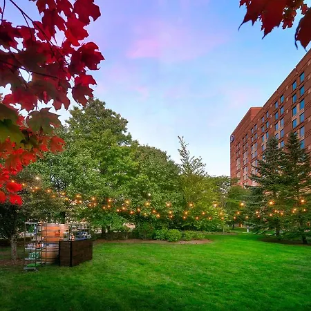 Hilton Logan Airport 4*