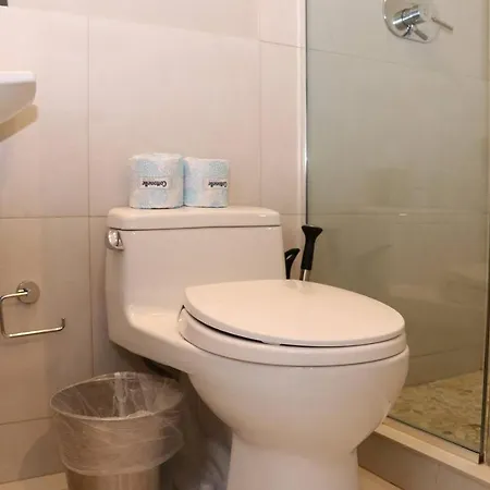 Comfortable In Back Bay, Newbury St. #7 Apartment *