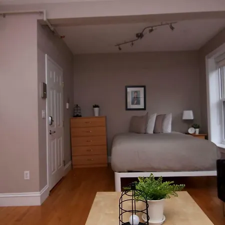 Apartment Stylish Downtown In The Southend, C.ave# 2 Boston