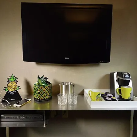 Hotel Staypineapple, A Delightful Hotel, South End Boston