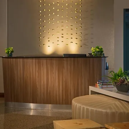 Pennyweight Boston, Curio Collection By Hilton