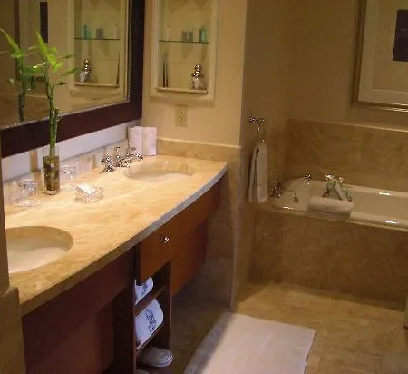 Hotel The Ritz-carlton,