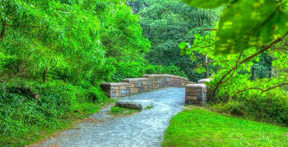 Envision Boston-longwood, Ascend Collection Boston