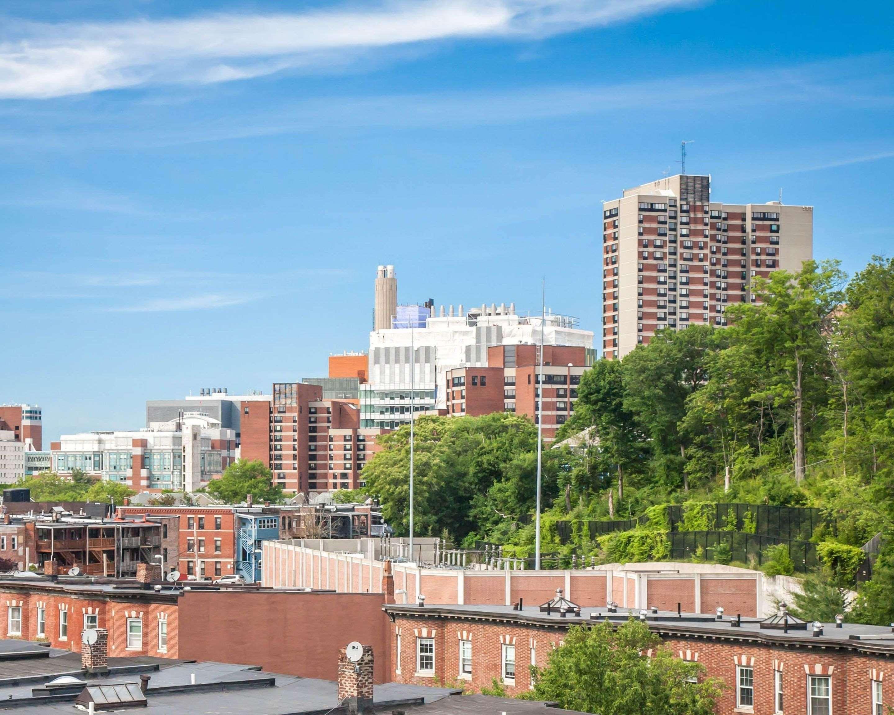 Envision Boston-longwood, Ascend Collection Hotel 3*