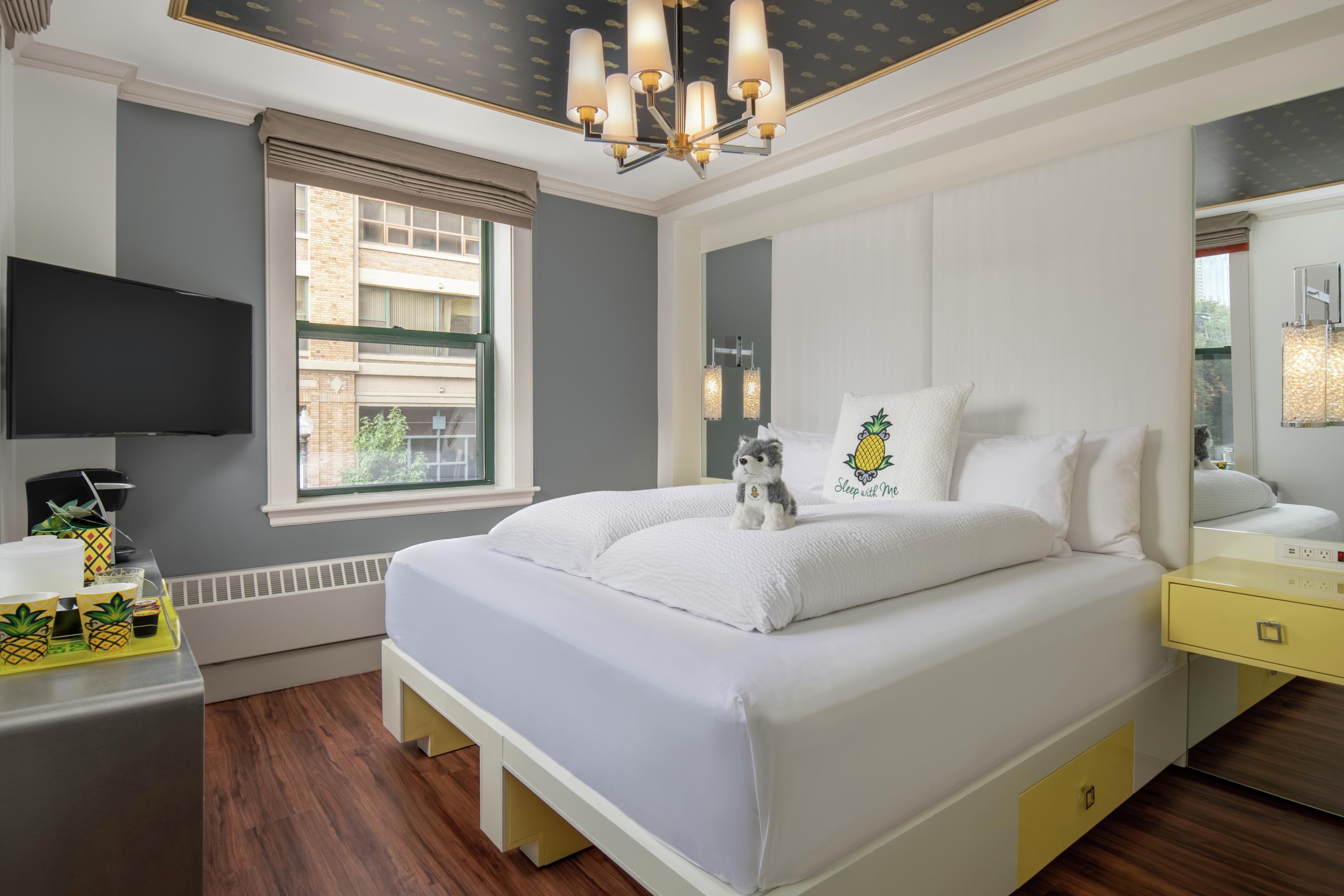 Staypineapple, A Delightful Hotel, South End Hotel Boston