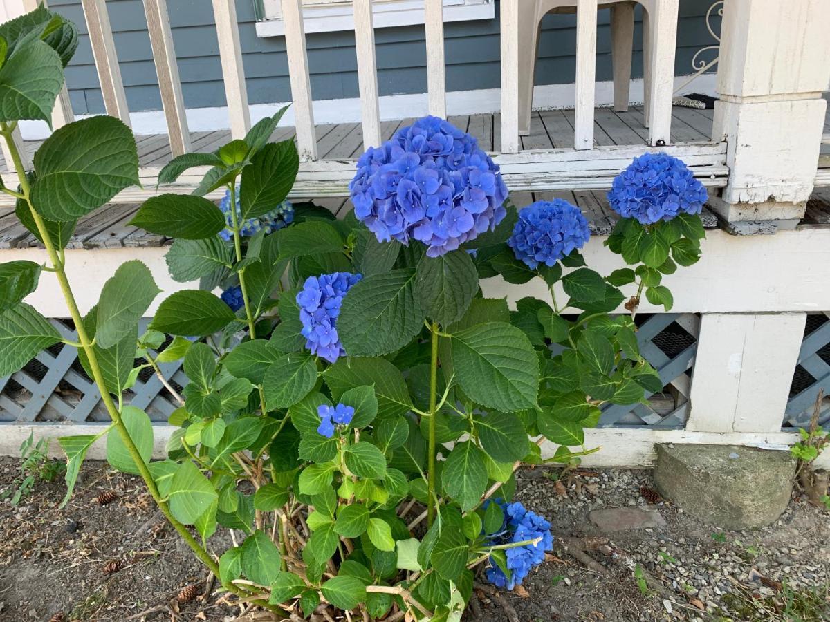 Beautiful Victorian House, Boston