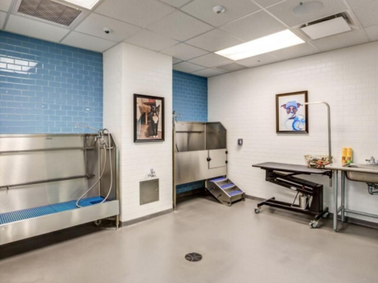 Apartment E Cambridge 1br W Gym Wd Nr Lechmere Station Bos-608 Boston