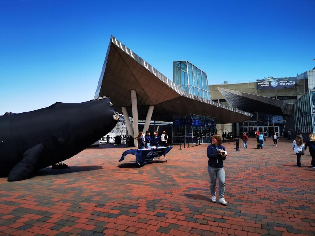 Apartment Location+comfort+convenience *