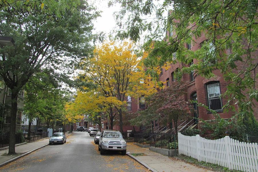 Single Family Only Long Term Of 28 Days Or Longer * Boston