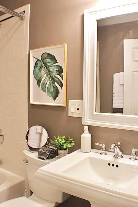 Apartamento Luxury - Pet Friendly 3bd, 3ba South End