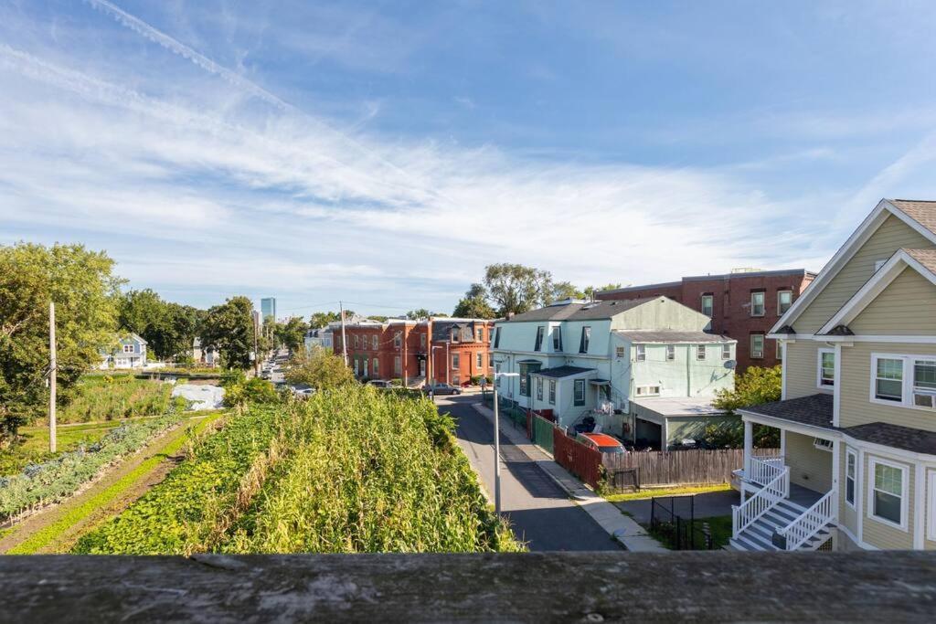 New! Near Mbta, 3mi To Fenway ! Apartment