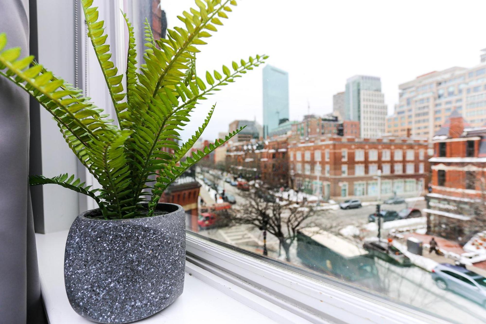 Charming On Boston's Iconic Newbury St. #8