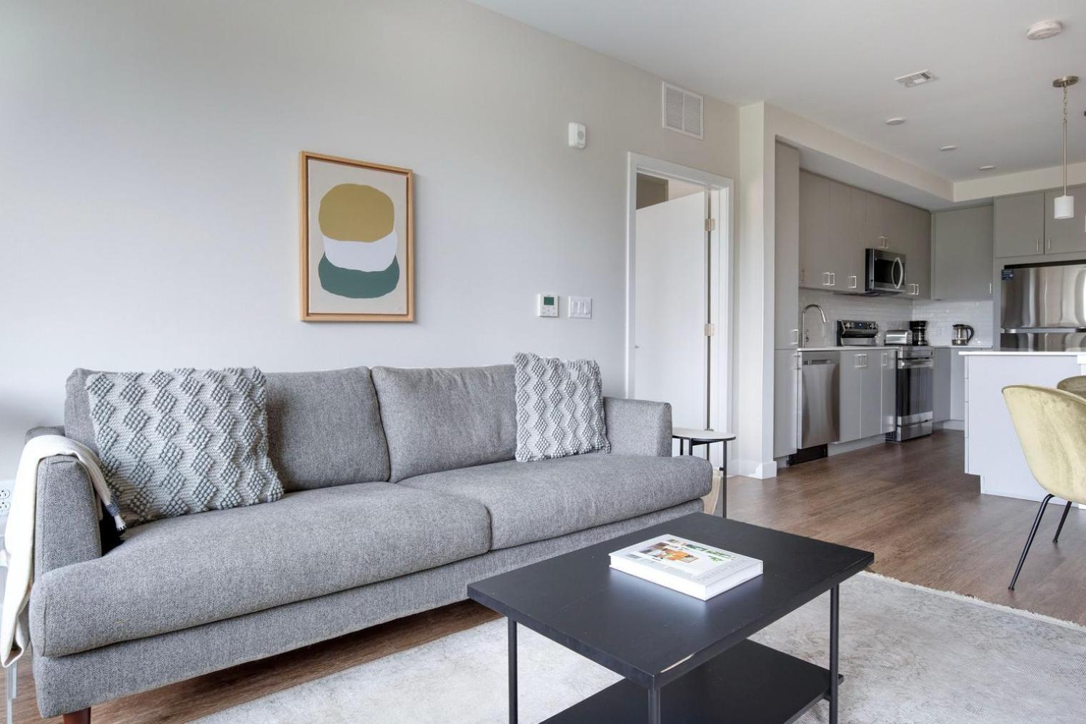 Apartment Brighton 2br W Wd Gym Nr Green Line Bos-894 Boston