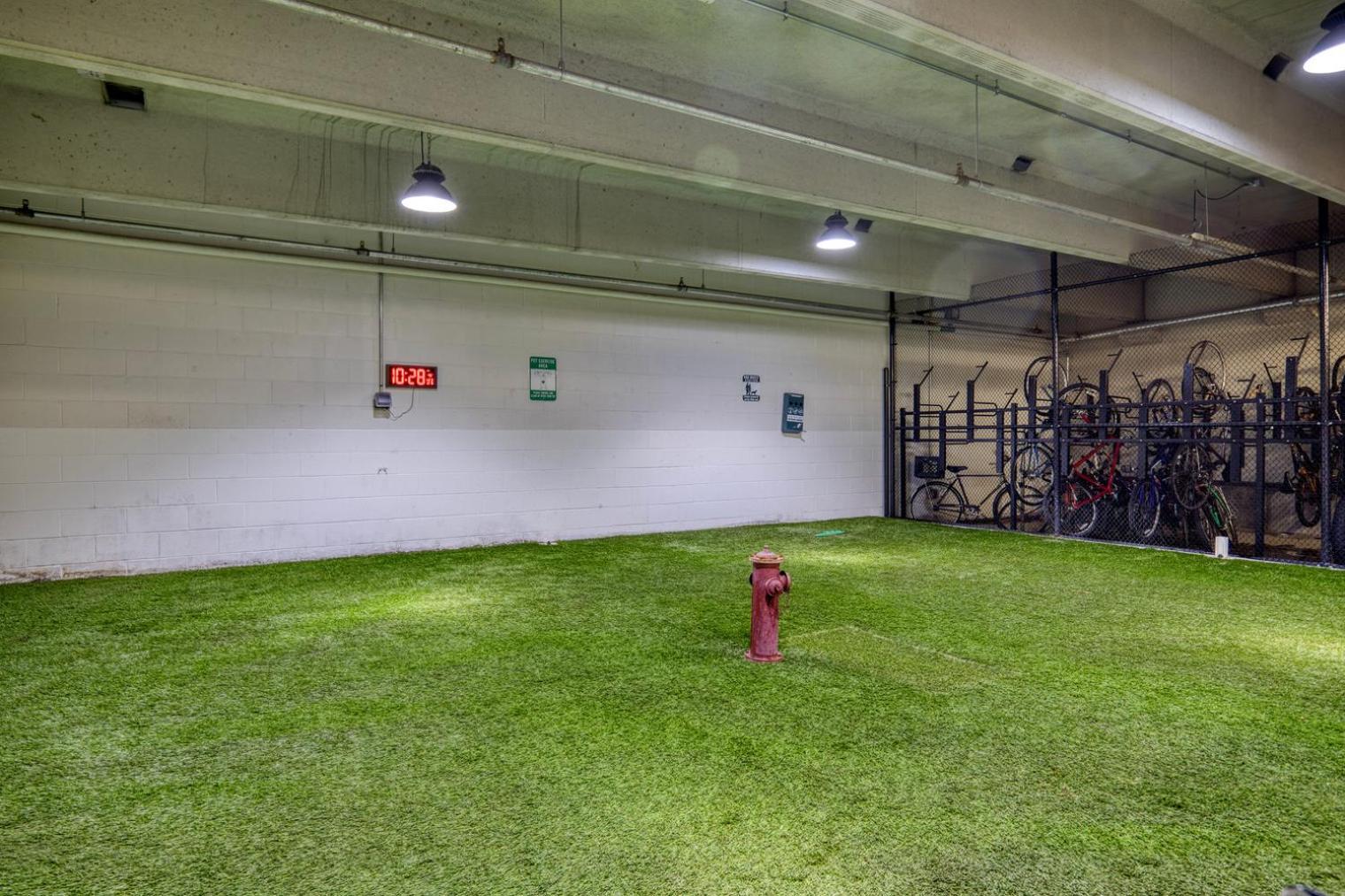 Apartment South 1br W Gym Nr Red Line Shops Bos-984 *