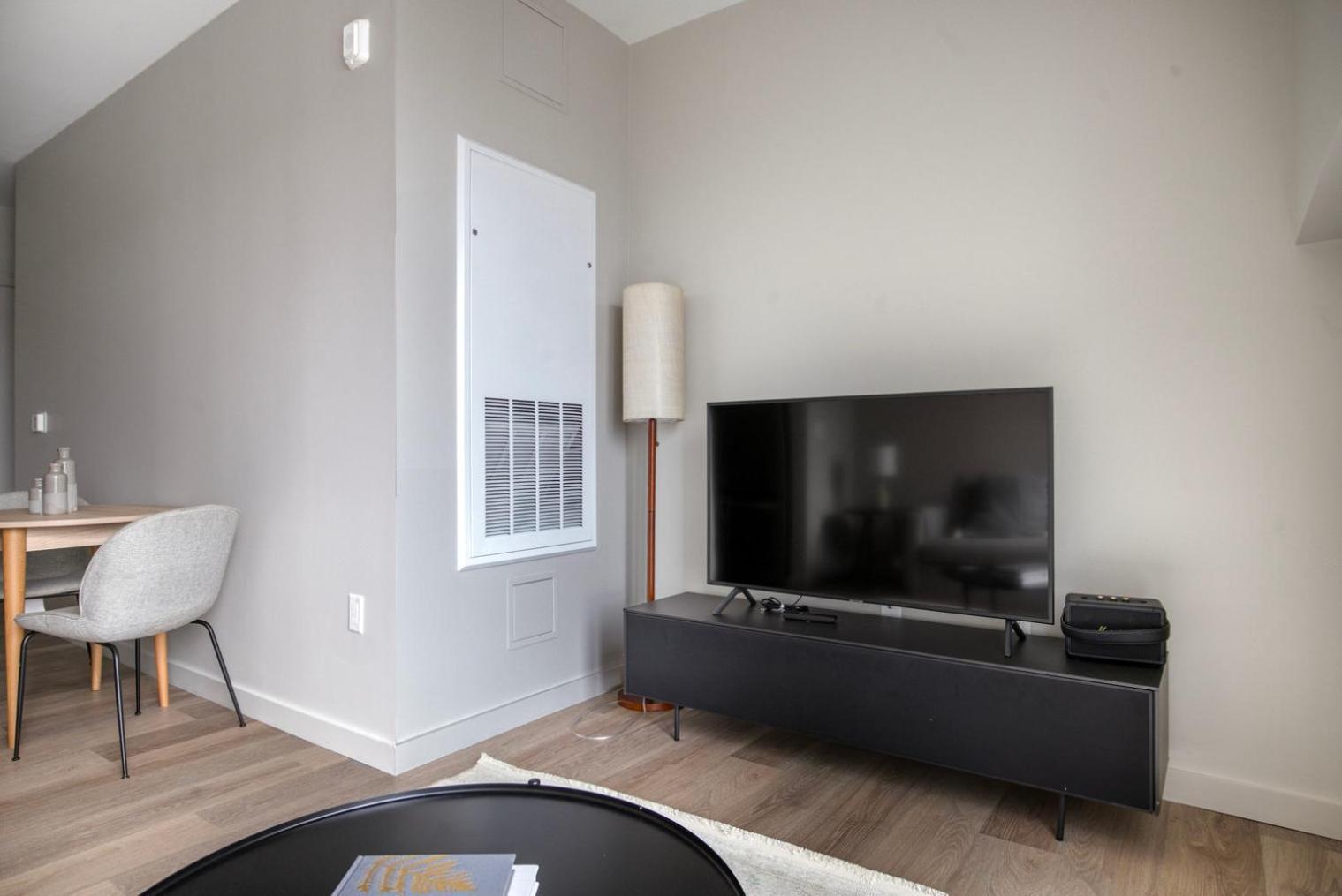 Brighton Jr 1br W Gym Laundry On The River Bos-999 Apartment Boston