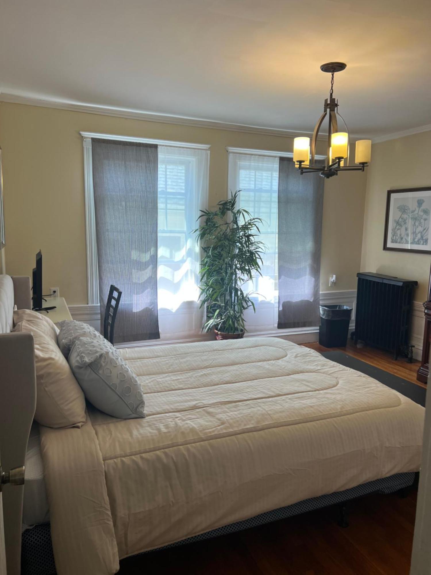 Cozy 1-bed Private Downtown Dorchester, Ma! Apartment