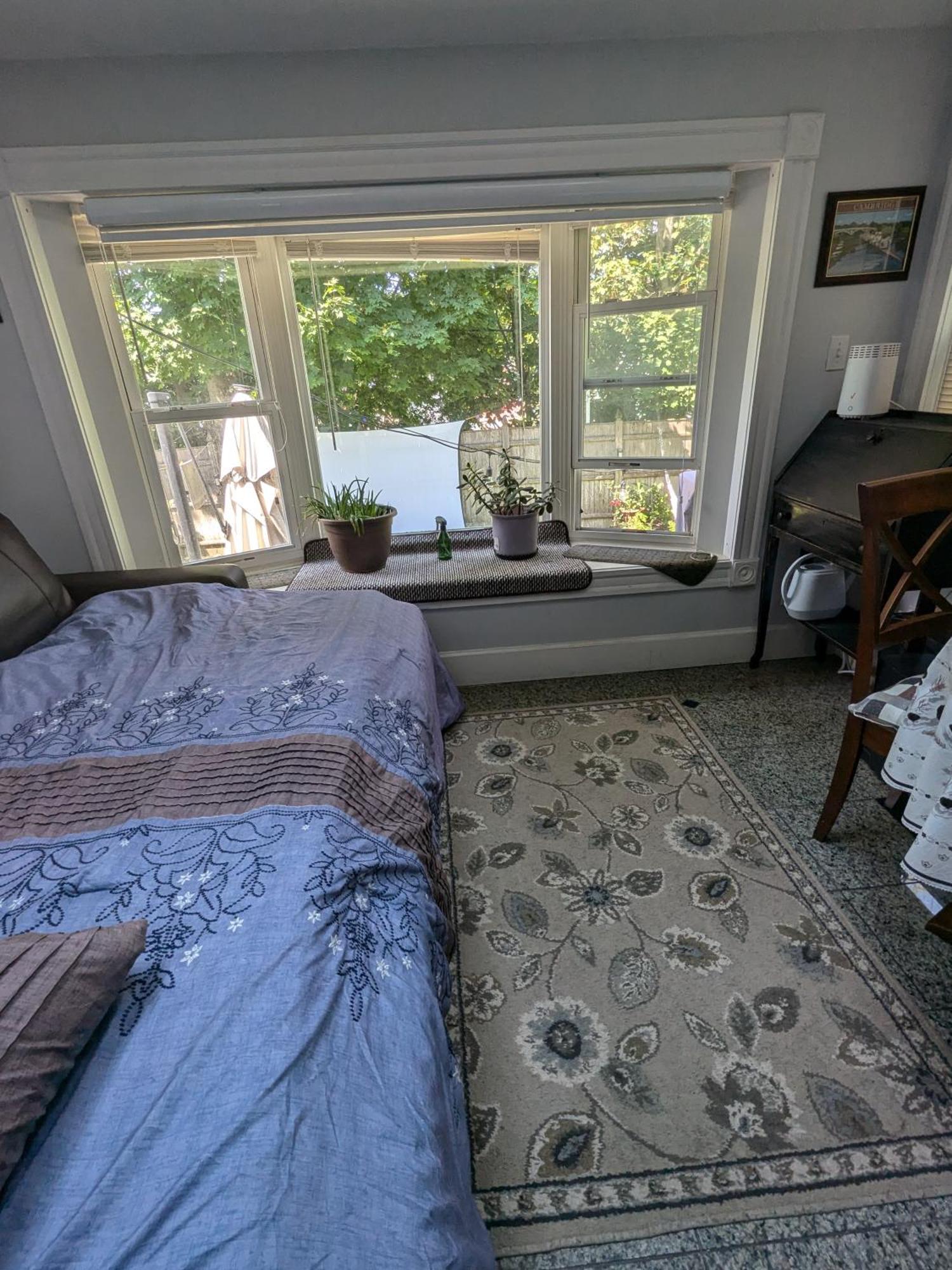 Large W/ Private Bath,great Location Boston