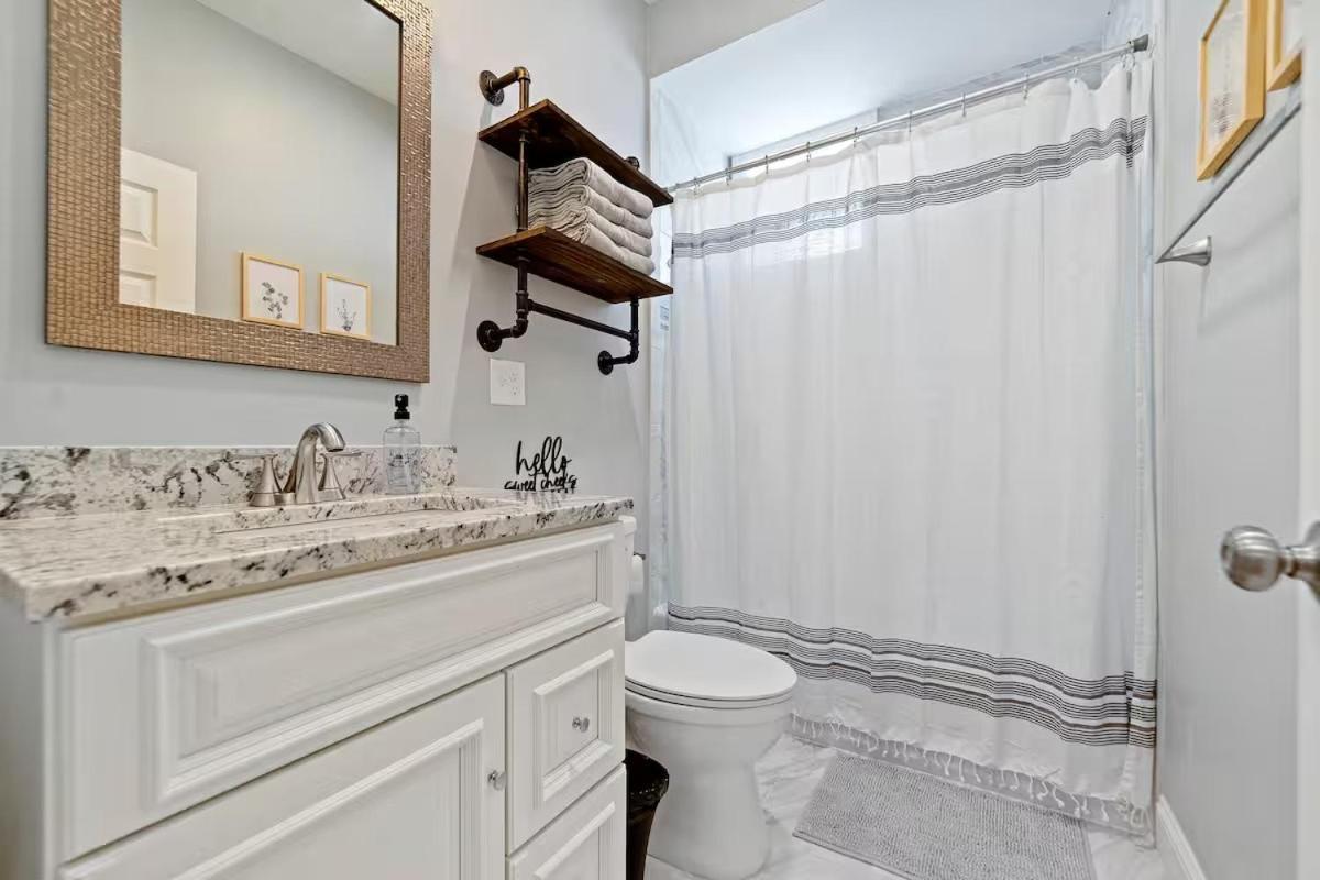 Modern Luxury Steps From Zoo & Golf Course Boston