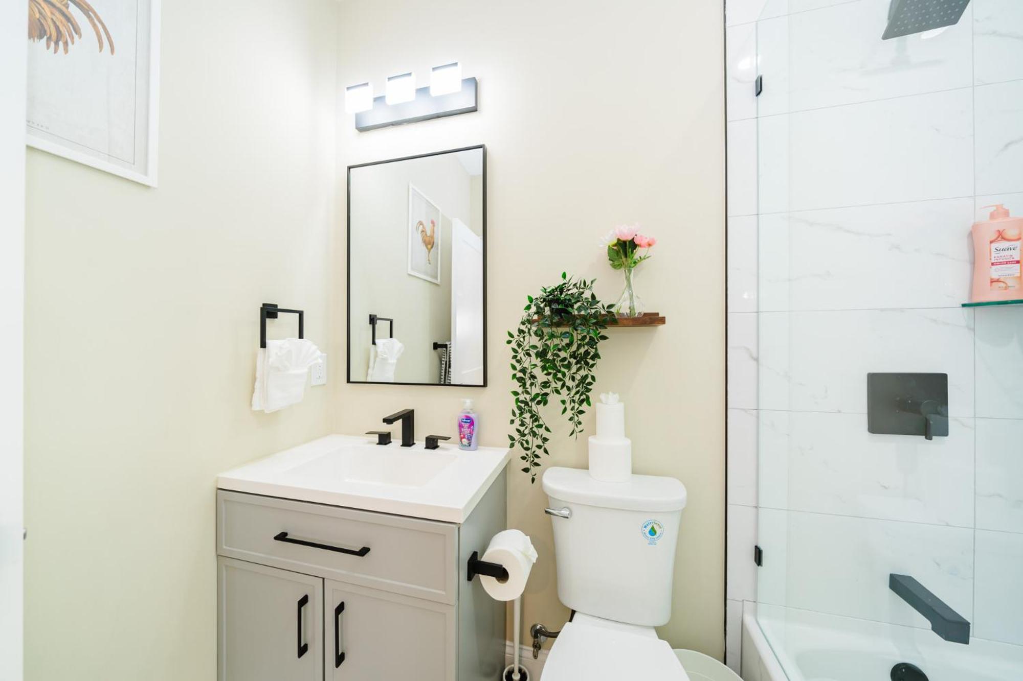 60-3 3br - Sleek Near Franklin Park Boston